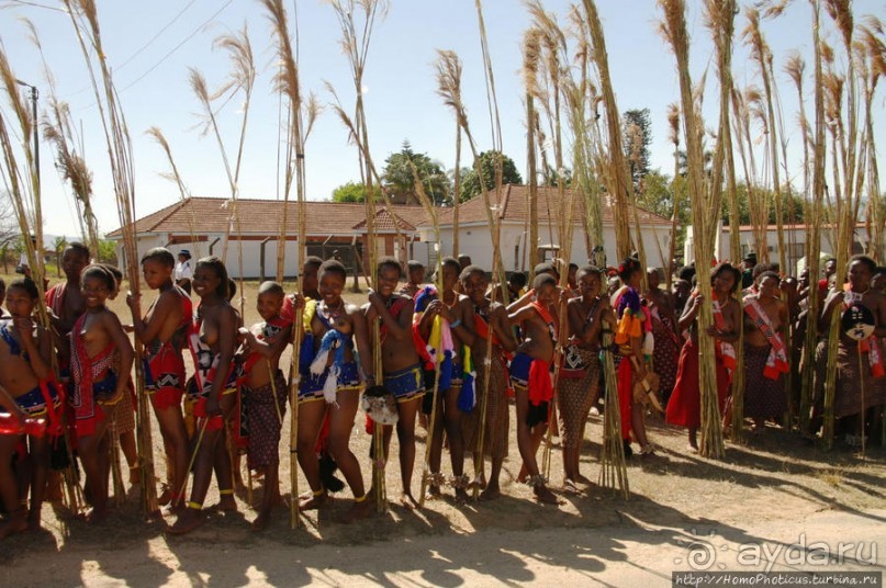 Умхланга. День VI. Возложение тростника