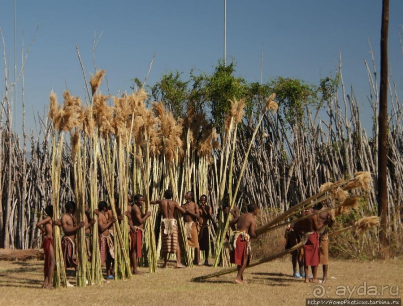 Умхланга. День VI. Возложение тростника