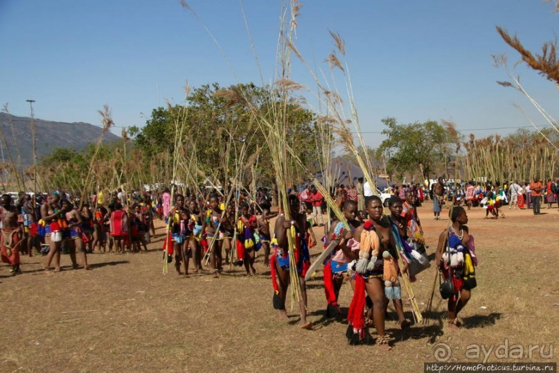 Умхланга. День VI. Возложение тростника