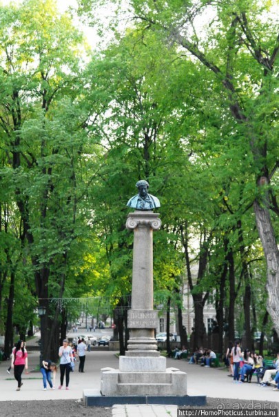 Новый хутор на Быке