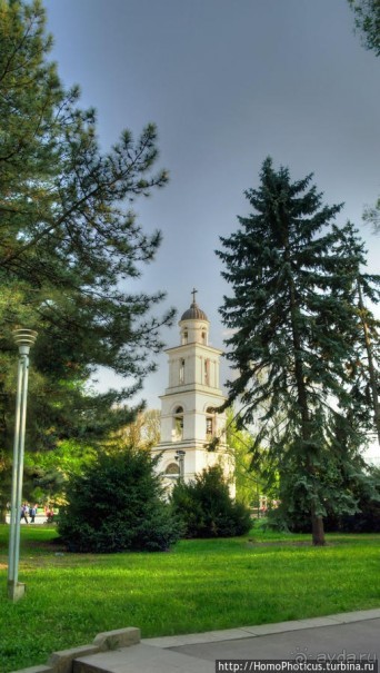 Новый хутор на Быке