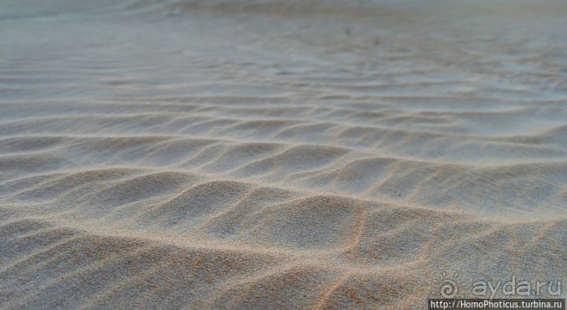 Среди барханов