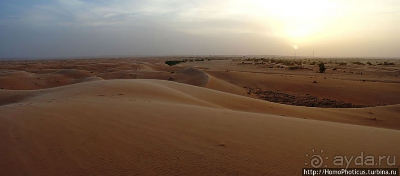Среди барханов