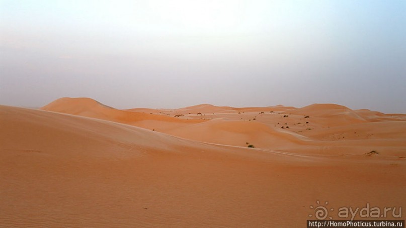 Среди барханов