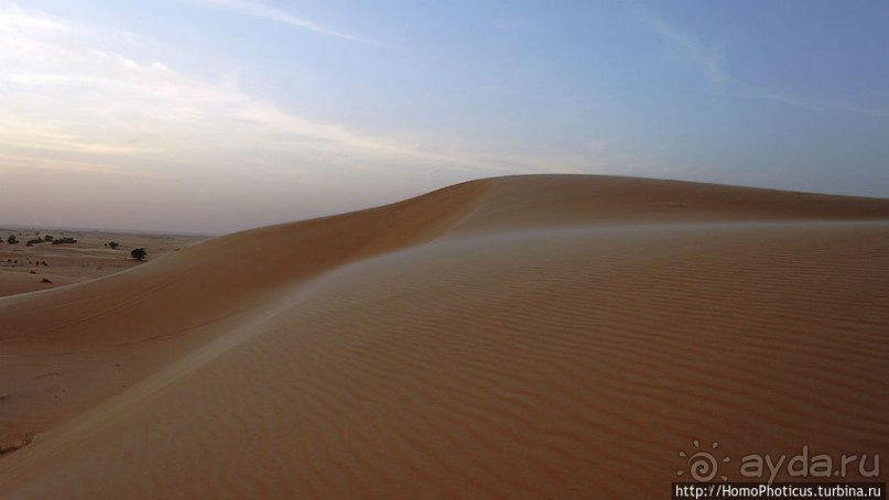 Среди барханов