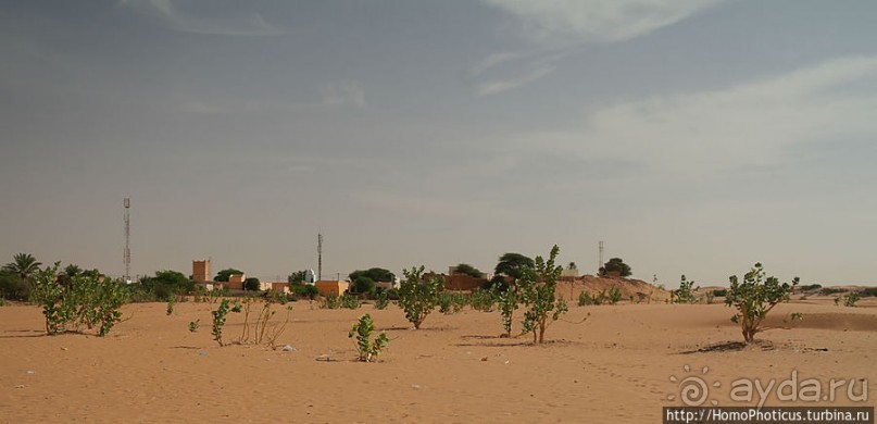 Среди барханов