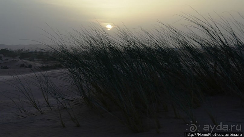 Среди барханов