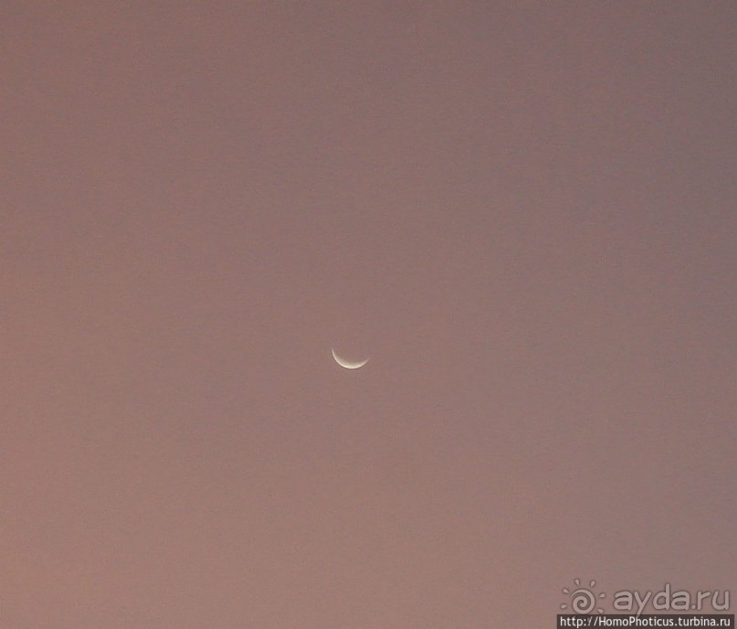 Среди барханов