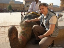 Розовая родина воинственных кланов