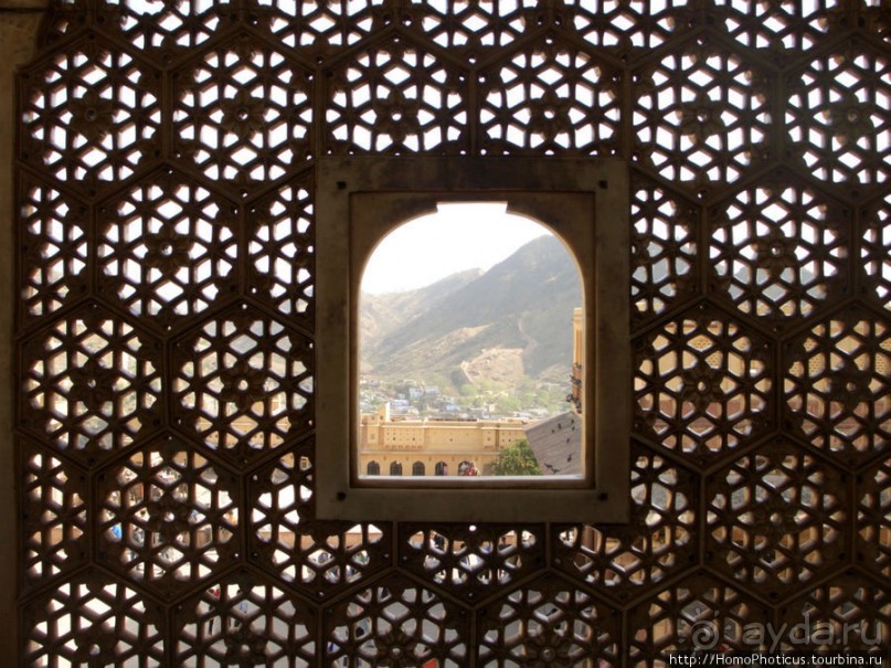 Розовая родина воинственных кланов