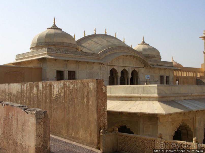 Розовая родина воинственных кланов