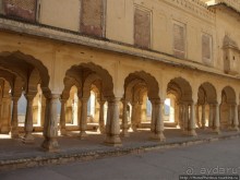 Розовая родина воинственных кланов