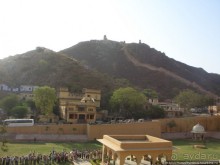 Розовая родина воинственных кланов