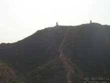 Розовая родина воинственных кланов