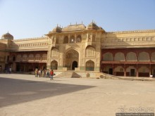 Розовая родина воинственных кланов