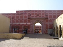 Розовая родина воинственных кланов