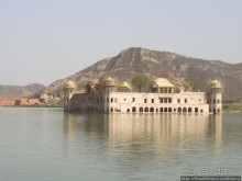 Розовая родина воинственных кланов