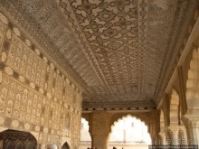 Розовая родина воинственных кланов