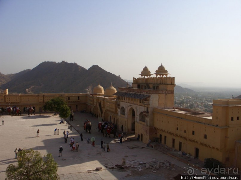 Розовая родина воинственных кланов