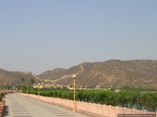 Розовая родина воинственных кланов