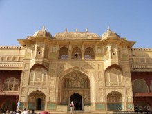 Розовая родина воинственных кланов