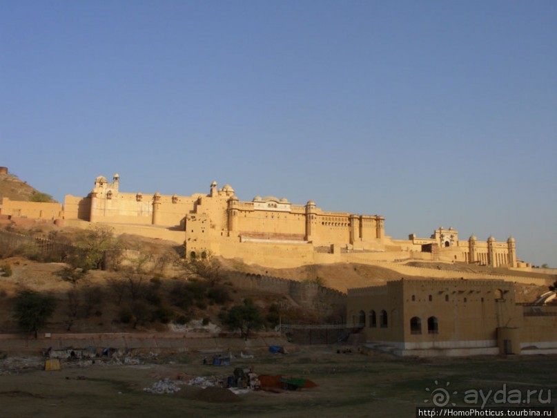 Розовая родина воинственных кланов