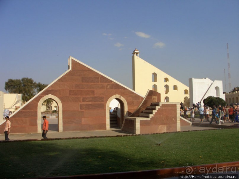 Розовая родина воинственных кланов