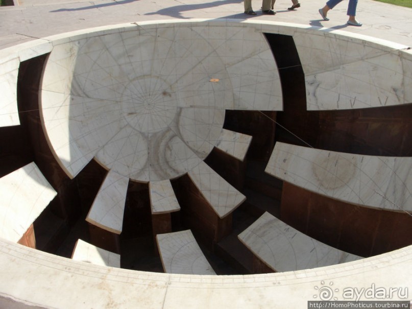 Розовая родина воинственных кланов