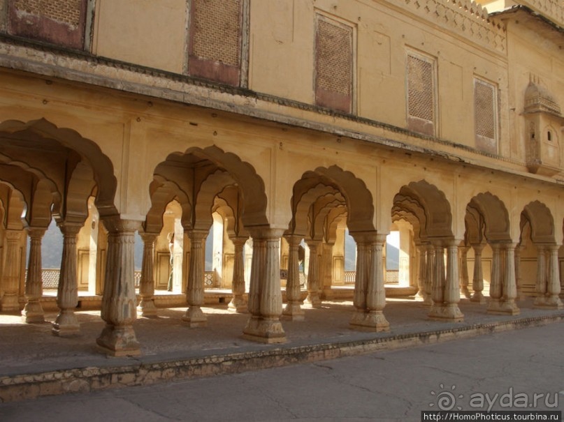 Розовая родина воинственных кланов