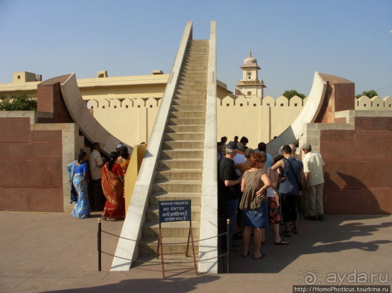 Розовая родина воинственных кланов