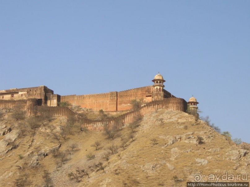 Розовая родина воинственных кланов