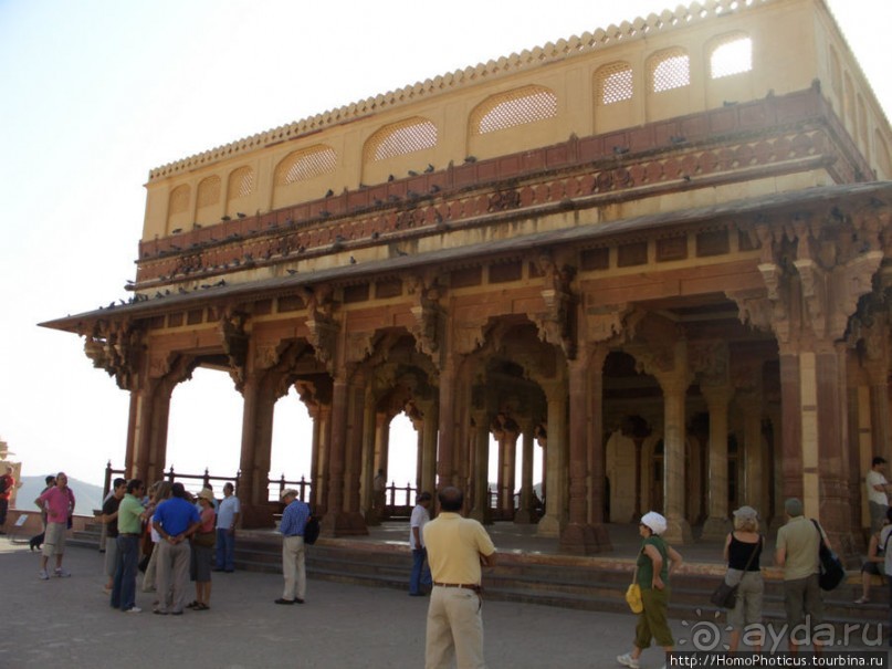 Розовая родина воинственных кланов