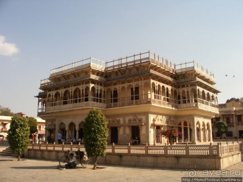 Розовая родина воинственных кланов