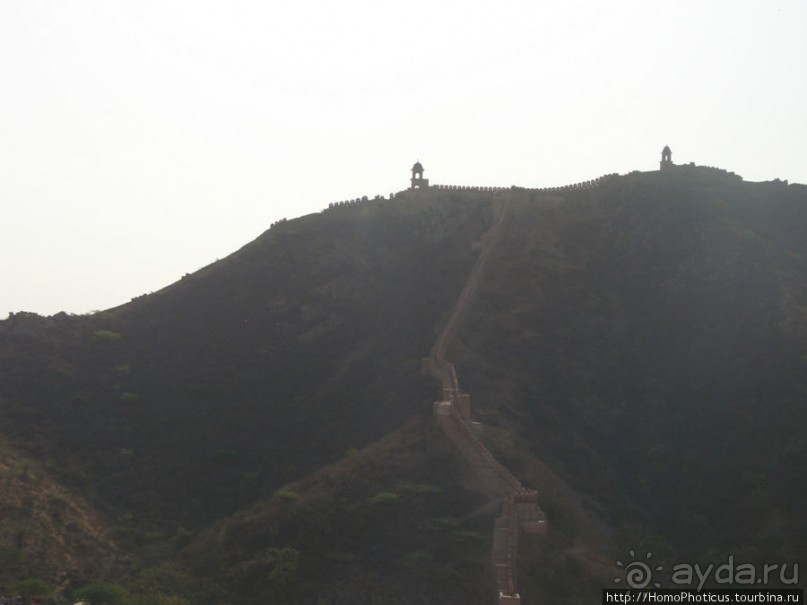Розовая родина воинственных кланов