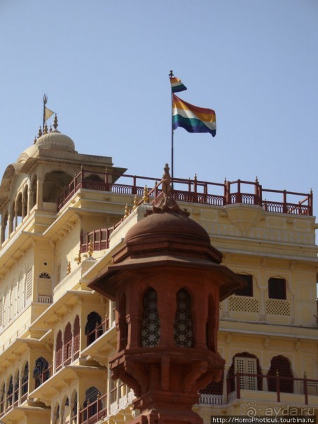 Розовая родина воинственных кланов