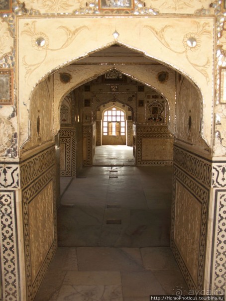 Розовая родина воинственных кланов