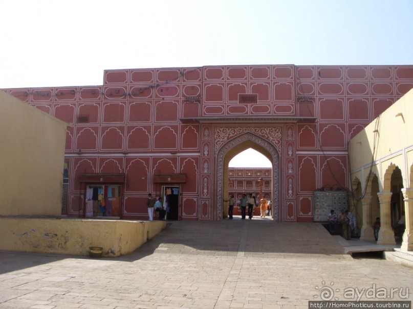 Розовая родина воинственных кланов