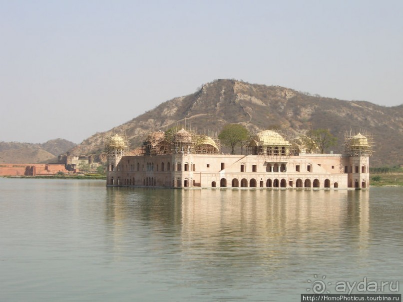 Розовая родина воинственных кланов