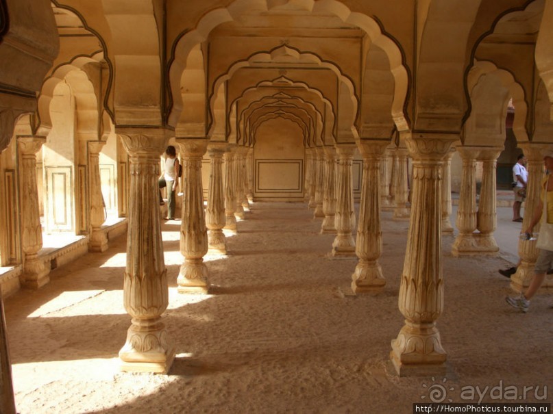 Розовая родина воинственных кланов