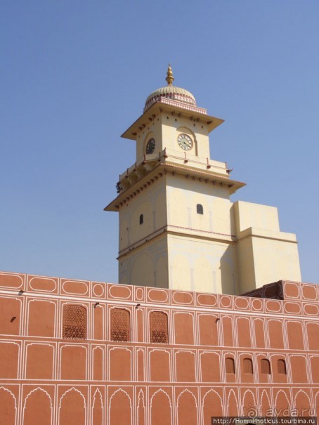 Розовая родина воинственных кланов