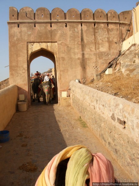 Розовая родина воинственных кланов