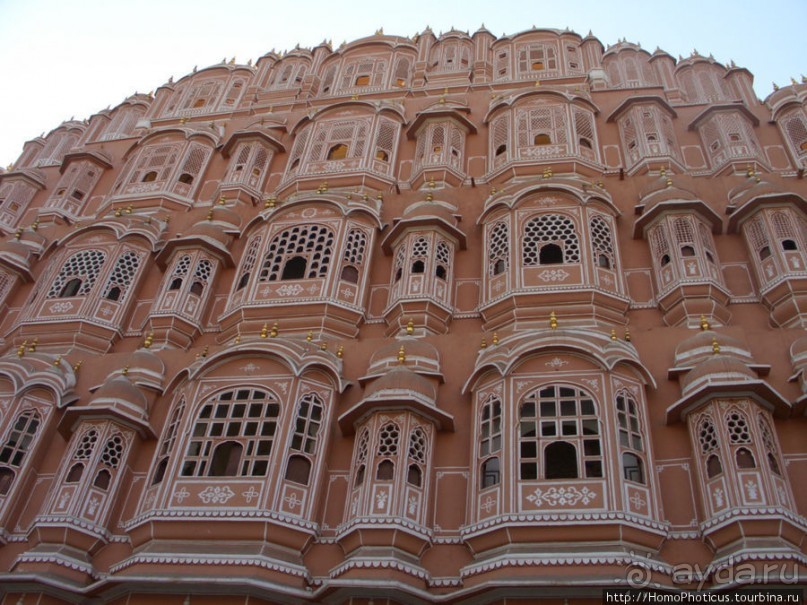 Розовая родина воинственных кланов