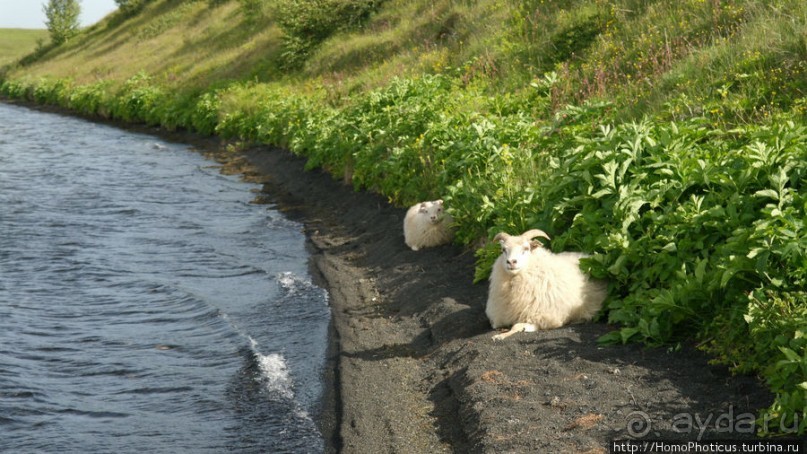 Калфастрёнд: лавовые скульптуры