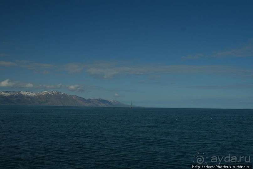 В поисках хвоста кита