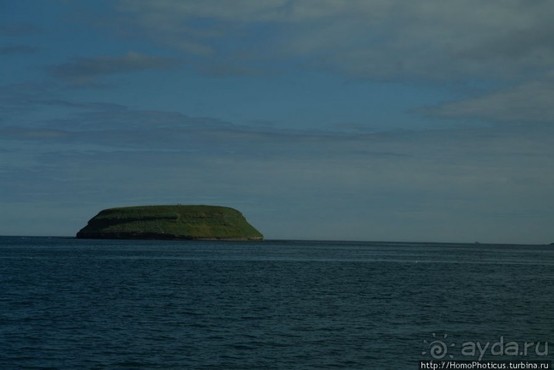 В поисках хвоста кита