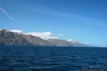 В поисках хвоста кита