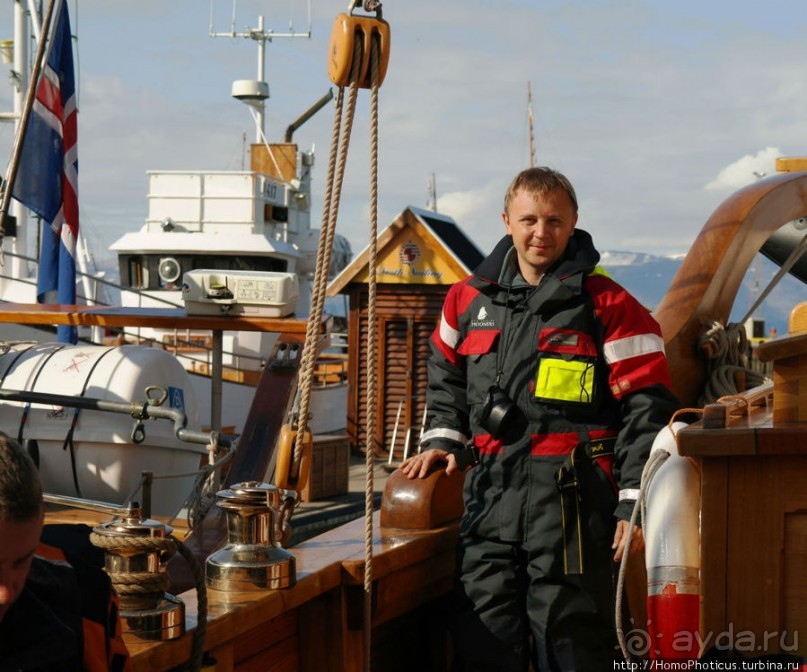 В поисках хвоста кита