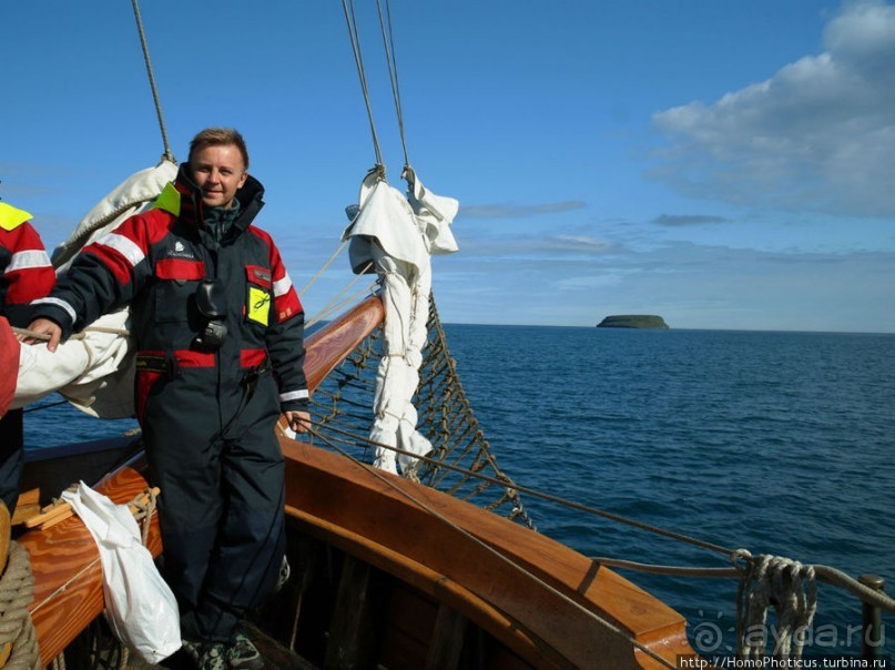 В поисках хвоста кита