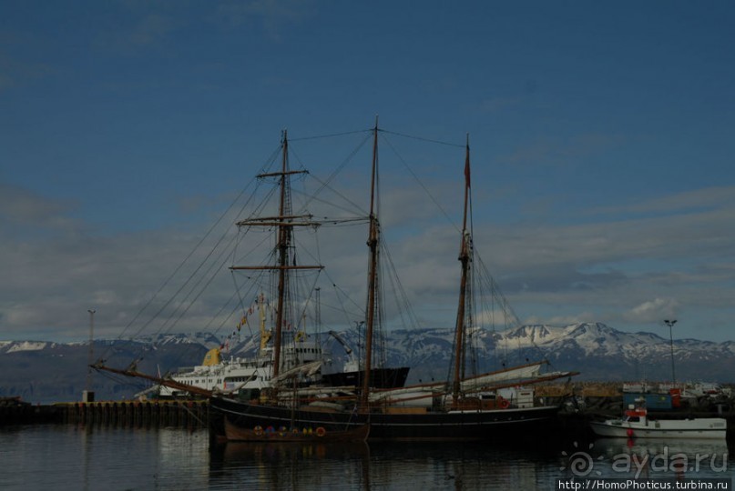 В поисках хвоста кита