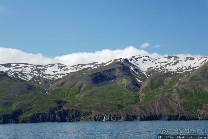 В поисках хвоста кита
